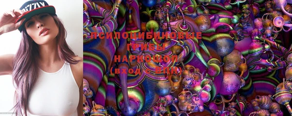 PSILOCYBIN Липки