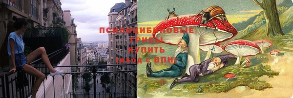 гашик Лиски